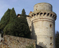 Trequanda