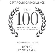 Top Hotel