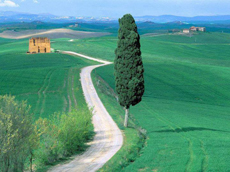 HOTEL PANORAMIC - Un sogno chiamato ....Toscana