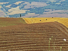 HOTEL PANORAMIC - Un sogno chiamato ....Toscana