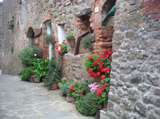 HOTEL PANORAMIC - Un sogno chiamato ....Toscana