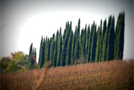 HOTEL PANORAMIC - Un sogno chiamato ....Toscana